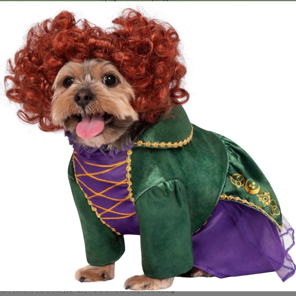 NEW RUBIE'S Costume Company Hocus Pocus Winifred Sanderson Dog Cat Costume Large
